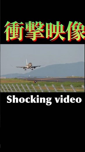 【衝撃映像】飛行機のバードストライク！ birds on the plane. [ Shocking video] #飛行機事故 #航空機事故 #airplane #airport #shorts