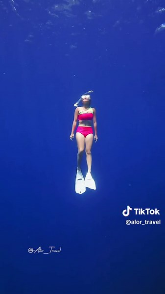 PARADISE💫 #alor #pulaupura #ntt #nttpride🏝🔥 #indonesia🇮🇩 #underwater #freediver #fypシ #fyp #traveler