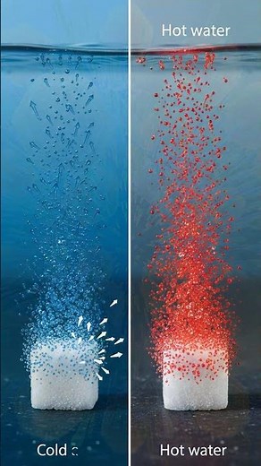 Why Does Sugar Dissolve Faster in Hot Water? 🤔 #Chemistry #EverydayPhysics