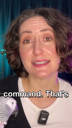 How AI Prompt Injection Works