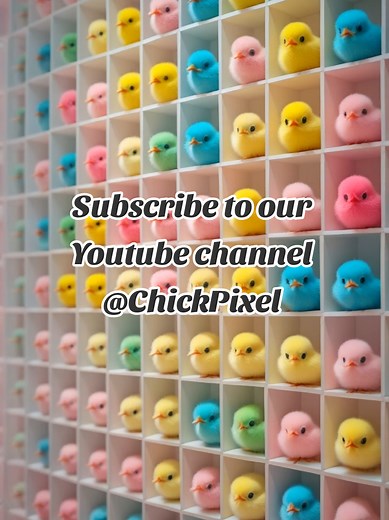 Explore the World of Colourful Chicks