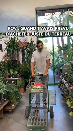 Tous dans le même bateau 😅 #urbanjunglevibes #tank #predatorfishtank #aquarium #plantparenthood #GrowWithGrace #foryou #plants #fishtoks #Piranhas | Storyfr