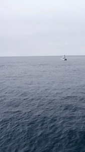 Straight Manual Labor! - Catch the full episode of Local Knowledge S9:E5 “United by Tuna” Available on YouTube, Waypoint TV & Streaming apps #sportfishing #fishing #saltwaterfishing #tunafishing | Local Knowledge