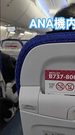 B737-800機内 ANA