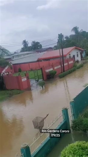 Ibis Gardens Caroni: A Unique Bird Encounter