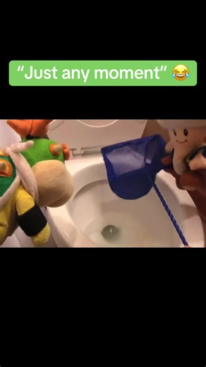 Funny Bathroom Fish Adventure Story