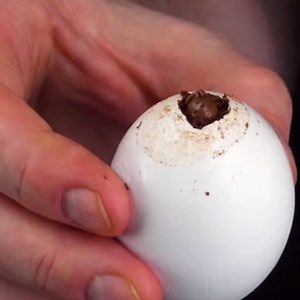 315K views · 837 reactions | Les amateurs de chocolat seront aux anges 襤  Les 100 meilleures recettes de Bon Ap' existent désormais en version papier dans un livre disponible ici : https://www.amazon.fr/dp/398216883X Pour les instructions, c'est par ici : https://bit.ly/3r9oTKl Sauvegarder sur Pinterest : https://bit.ly/3sfoojb | Bon Ap’ | Facebook