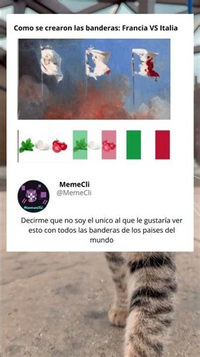 Como se crearon las banderas de Francia e Italia #humor #mundial #memes