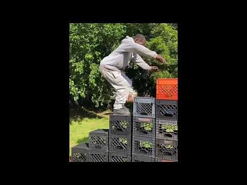 When I Came Down ooooouu Remix!! Crate Challenge Fail