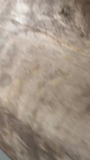 honey_bun (@honey_bun941)’s videos with original sound - honey_bun