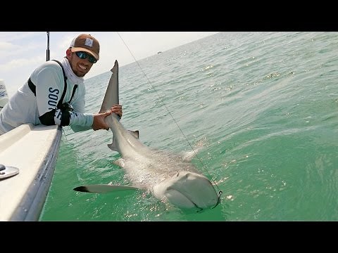 Fishing the Blacktip Shark Migration - ft. Chew On This - 4K