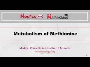Metabolism of Methionine