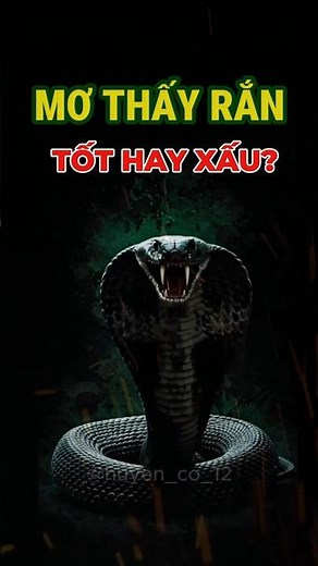 Mơ Thấy Rắn Có Ý Nghĩa Gì? 🐍 | Giải Mã Điềm Báo Giấc Mơ#giaimagiacmo #diembaogiacmo #nammothayran