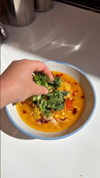 summery chicken and rice soup