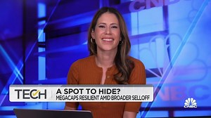 Mega-cap tech proves resilient amid broader sell-off - The Global Herald