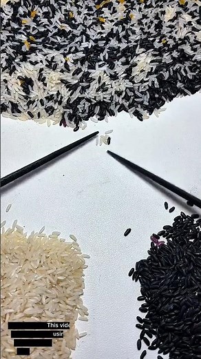 “Satisfying Rice Sorting With Chopsticks | Precision Tool Demo for Sorting Grains ASMR”