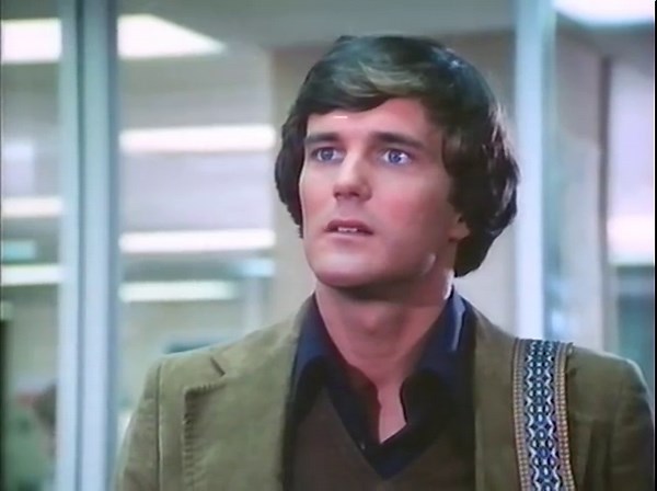 The Amazing Spider-Man (Complete 1977 TV Series) [Seasons 1-2]