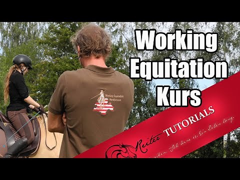 Mitja zeigt uns den richtigen Weg! Working Equitation Kurs 2020 // Reitertutorials