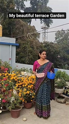 My Terrace Flower Garden | Flower Garden Overview | Flower Garden in Rooftop #flowergarden #flowers