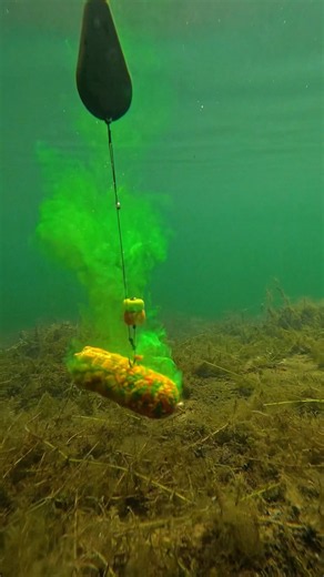 PVA Stick + Fluoro Gel & Plastic Corn Underwater #CarpFishing #Karpfenangeln #PVAStick #CarpAngling