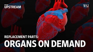 99K views · 443 reactions | Jackie Castro has been waiting more than eight months for a new lung. If Dr. Harald Ott’s research works, long wait times could be a thing of the past. More from this series: wsj.com/upstream | The Wall Street Journal | Facebook