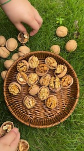 Xinjiang's "paper-shell walnuts" can be cracked open barehanded! Don't you find videos of people shelling these walnuts so satisfying to watch? It's such a stress-reliever! #Walnuts #Xinjiang #Satisfyingvideos | This is Xinjiang