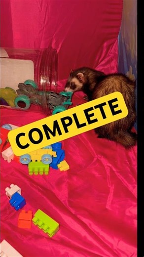 The Micro‑Challenge