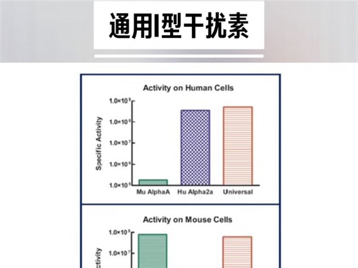 通用I型干扰素Universal Type I Interferon 适用干扰素跨物种或无法获得自体干扰素物种检测，101篇高分引用 货号PBL-11200-2
