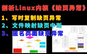 剖析Linux内核《缺页异常》（写时复制、文件映射、匿名页面）