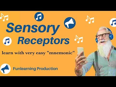 CNS:-3 SENSORY RECEPTORS (Learn with easy mnemonic) 🔴Physiology made simple🔴