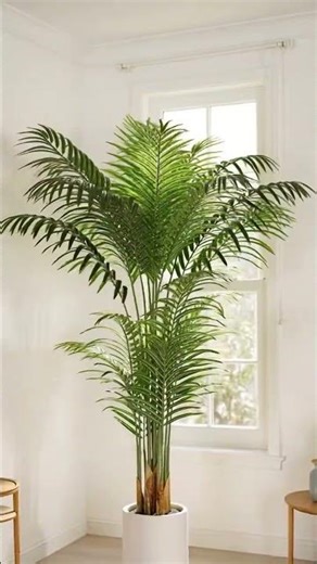 Decorative Tall Fake Palm Plant for Living Room and Bedroom