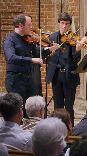 Haydn's best Violin Concerto? 😉❤️ #violin #orchestra #classicalmusic #haydn