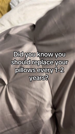 You should be replacing your pillows every 1-2 years. Pillows accumulate mites,dust, and dead skin over time! #pillows #bedding #replaceyourpillows #hotelpillows #cleansheets