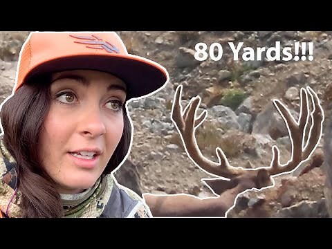 “ABOVE TIMBERLINE” Nicole’s Public Land Mule Deer Hunt (part 2)