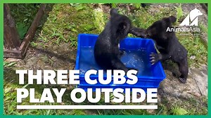 4.4K views · 3.2K reactions | Yesterday we promised we'd share more...