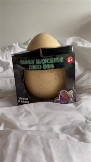Hatching a Giant Egg: Unveiling a Huge Dino Surprise!