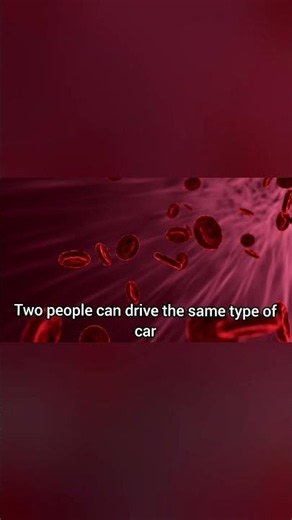 What Does Full Coverage Car Insurance Really Mean?