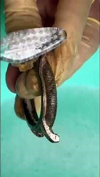 Restoring a Vintage Watch to Its Former Glory