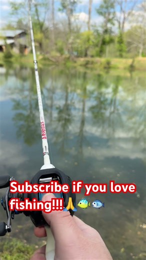 Shimano slx dc #review #fishing #shimanoslx #fyp #shorts