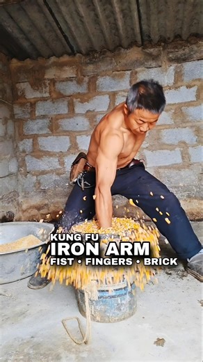 IRON Arm Kung Fu - Vajra Fist, Eagle Claw Fingers & Brick Break!