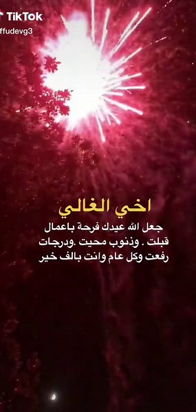 Stunning Night Sky Fireworks Display in Vibrant Colors