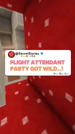 20K views · 90 reactions | FLIGHT ATTENDANT.. | Secret Stories | Facebook