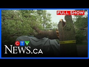 Storm damage clean up in Calgary | CTV Morning Live Calgary for July 14, 2025