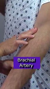 🟣Here are the three most common pulse points you'll want to know how to find as a nurse. First, is the radial pulse. This pulse is great to check the heart rate on an adult patient during a routine assessment. Next, is the brachial artery pulse point. This pulse point is used during manual blood pressure assessments, as well as a pulse check on an infant during CPR. Finally, is the carotid artery pulse point. This is commonly checked during CPR or a code situations on adults to verify whether a