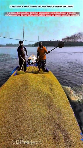 Smart Fish Feed Distribution Tool: Clean Even Throwing Technique