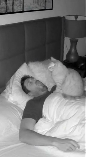 How to stop husband's snoring