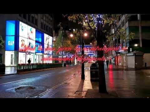 World Holiday Expectations