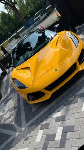 I am Sarjit -Your Lotus Expert on TikTok