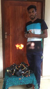 8.3K views · 276 reactions | TOYOTA original Japan Spiral ඔබගේ වාහයෙත් airbag light on වෙලාද? Multifunction @ horn වැඩ නැද්ද ? Original spiral අවශ්‍යනම් දැන්ම Sameera car accessories අඅමතන්න Tell 0750829600☎️0774999600 | Sameera car Accessories | Facebook