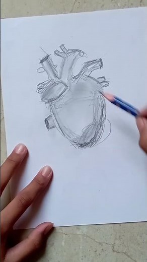 How to Draw a Heart | Easy Step-by-Step for Beginners | @vaidik_drawing